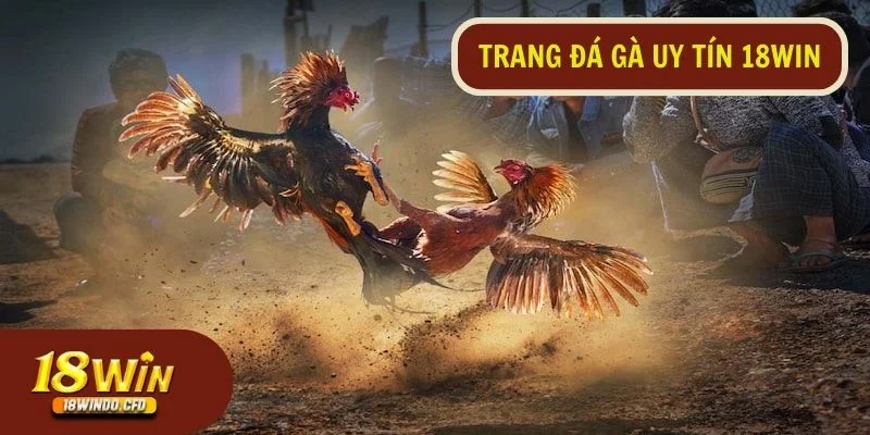 Trang đá gà uy tín 18Win